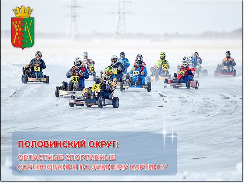 Областные спортивные соревнования по картингу Областные спортивные соревнования по картингу.